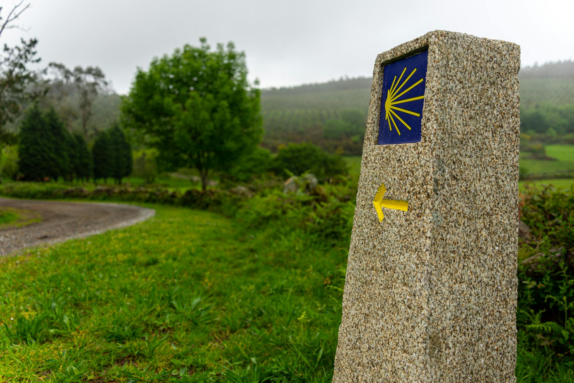 Hoteles baratos cerca de O Son do Camino Santiago